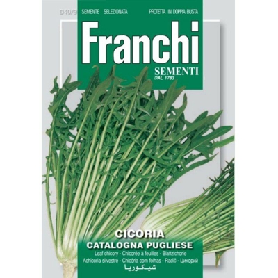 Semi ortofrutta 'Cicoria catalogna pugliese' 3 pz.