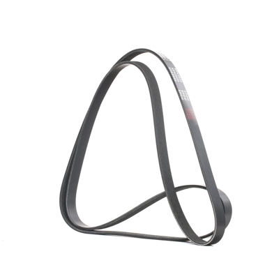 RIDEX Cinghia Poly-V 305P0093  OPEL,CHRYSLER,MERCEDES-BENZ,VECTRA B (36_),VECTRA B CC (38_),Calibra A (C89),Omega B Limousine (V94)