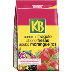 Concime Fragole 800 gr características