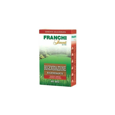 Semi Semente Prato Tappero Erboso Rigenerante Crescita Rapida Kg 1 24577