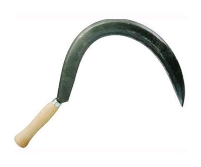 Falciola Taglio Liscio N. 3