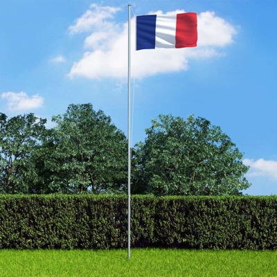 Bandiera della Francia con Pennone in Alluminio 6,2 m - Multicolore - Youthup