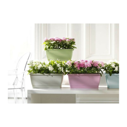 Cassetta Roxanne Pastello | Avorio - 60 cm precio