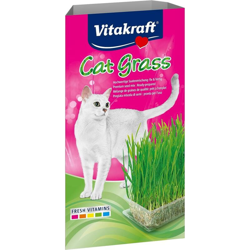 Cat Grass -Erba Naturale características