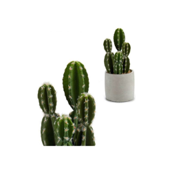 Ibergarden - Cactus Plastica Cactus (12 x 28 x 12 cm) en oferta