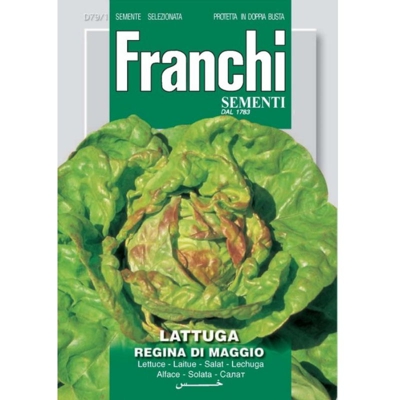 Semi ortofrutta 'Lattuga regina di maggio' 3 pz.