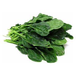 Hortusì - SEMI DI SPINACIO MATADOR FOGLIA LARGA estivo estate 500 GR HORTUS precio