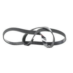 RIDEX Cinghia Poly-V 305P0224  MINI,ALFA ROMEO,SUZUKI,Schrägheck (R50, R53),Cabrio (R52),MITO (955),GIULIETTA (940),Giulietta Kastenwagen (940_) en oferta