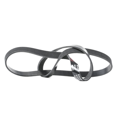 RIDEX Cinghia Poly-V 305P0224  MINI,ALFA ROMEO,SUZUKI,Schrägheck (R50, R53),Cabrio (R52),MITO (955),GIULIETTA (940),Giulietta Kastenwagen (940_)