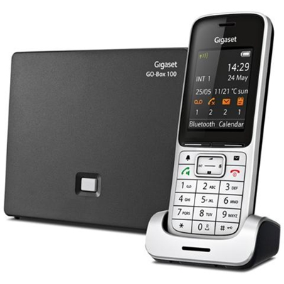 Cordless SL450 A GO platino / nero