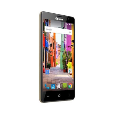 You Color P550 Oro Dual Sim Display 5.5'' HD Quad Core Ram Storage 8GB +Slot MicroSD WiFi 4G / LTE Doppia Fotocamera 13Mpx / 5Mpx Android 5.1 - Italia
