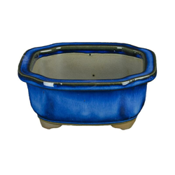Vaso per bonsai Giapponese Morrisan ovale in gres smaltato blu 10,5x9x4,5 cm - B03-3-6B características