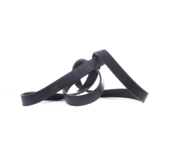 RIDEX Cinghia Poly-V 305P0289  FORD USA,FORD,SEAT,EDGE,FOCUS III,C-Max II (DXA/CB7, DXA/CEU),Kuga Mk2 (DM2),Grand C-Max (DXA/CB7, DXA/CEU) características