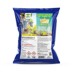 Ossicloruro di rame REALE 50% X 1 kg precio