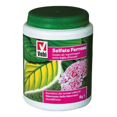Solfato ferroso antimuschio rinverdente clorosi piante orto VEBI Barattolo 1 Kg