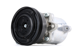 RIDEX Compressore Aria Condizionata 447K0290 Compressore Climatizzatore,Compressore Clima BMW,3 Limousine (E36),3 Coupe (E36),Z3 Roadster (E36) precio
