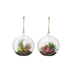 Pianta Decorativa 119497 Artificiale Interno Ø 10,5 cm en oferta