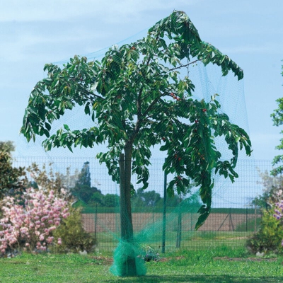 Anti-uccelli 2X5 Green Intermas