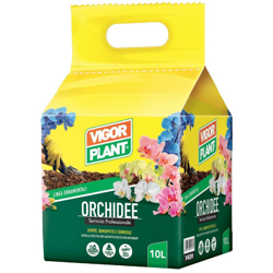 Terriccio Orchidee 10 litri - Vigorplant precio