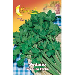 Hortus Sementi - SEMI ORTO SEDANO VERDE DA TAGLIO precio