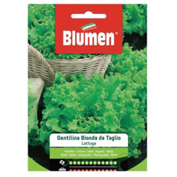Blumen Lattuga Gentilina Bionda Da Taglio precio