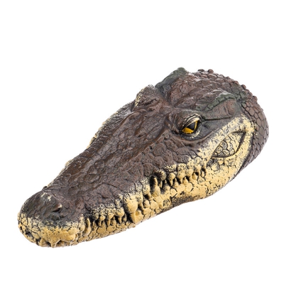 Testa di coccodrillo galleggiante