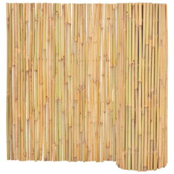 Recinzione in Bambù 300x100 cm - Marrone - Youthup características