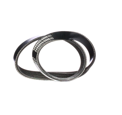 RIDEX Cinghia Poly-V 305P0168  HYUNDAI,ACCENT II (LC),ACCENT I (X-3),ACCENT II Stufenheck (LC),LANTRA II Wagon (J-2),LANTRA II (J-2)