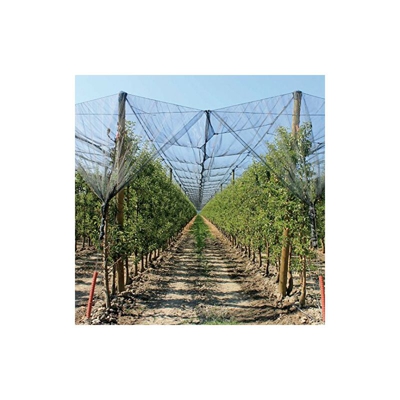 Rete antigrandine 2x20 m