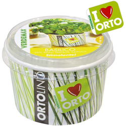 Ortolino Basilico características