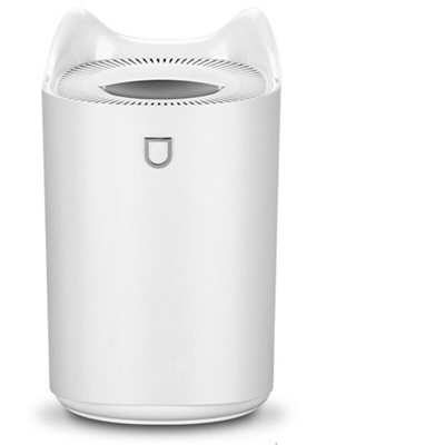 DC 5 V 4 W umidificatore doppio ugello con il disegno colorato notte luce bianca 3L USB