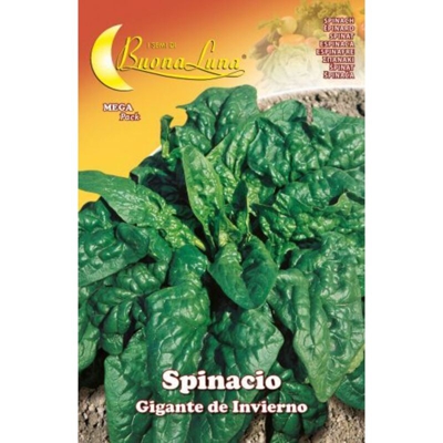 Hortus Sementi - SEMI ORTO SPINACI GIGANTI