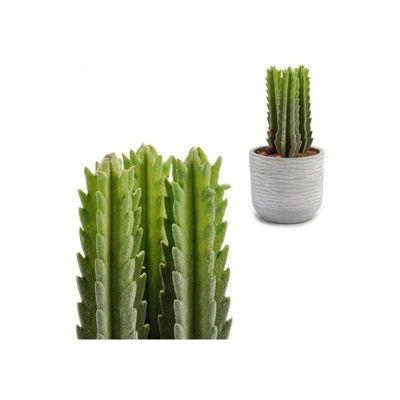 Ibergarden - Cactus Plastica Cactus (10 x 20 x 10 cm)