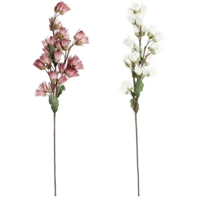 Corpetti Bianco Rosa EVA (etilvinilacetato) (2 pcs) - Dkd Home Decor