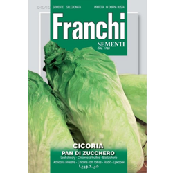 Semi ortofrutta 'Cicoria pan di zucchero' 3 pz. precio