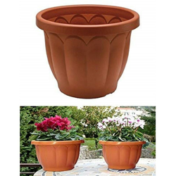 Set 2Pz Vasi Vaso Fioriera 25X20Cm Plastica Cassetta Senza Sottovaso Piante Fiori precio
