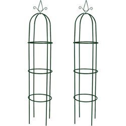 Set Torri ad Arco 2 pz per Piante Rampicanti da Giardino - Verde - Vidaxl precio