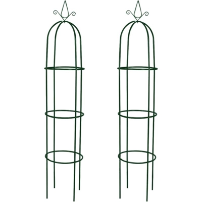 Set Torri ad Arco 2 pz per Piante Rampicanti da Giardino - Verde - Vidaxl