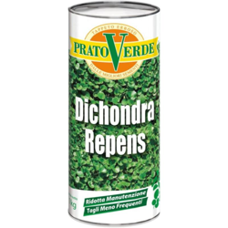 Dichondra Repens x 500 gr precio
