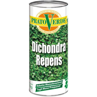 Dichondra Repens x 500 gr