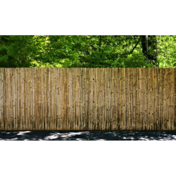 Sirius - Arella stuoia cannette bamboo 200x300 cm bambù intera rilegate recinzioni TIME precio