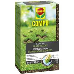 Seme 'Prato Veloce' rigenerazione tappeto erboso ripristina aiuola -5 Kg en oferta