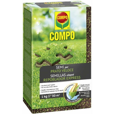 Seme 'Prato Veloce' rigenerazione tappeto erboso ripristina aiuola -5 Kg