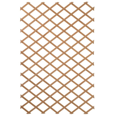 Traliccio da Giardino 50x150 cm in Legno Naturale - Marrone - Nature