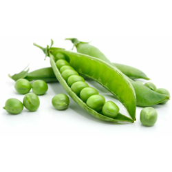 Hortusì - SEMI di PISELLO PISELLI 500 gr ALDERMAN RAMPICANTE SEMENTI ORTOVIVO precio