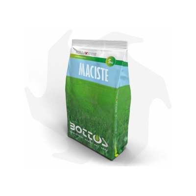 Maciste - Sementi per prato da 5 Kg