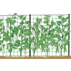 Stocker Rete rampicante 2 x 500 m precio