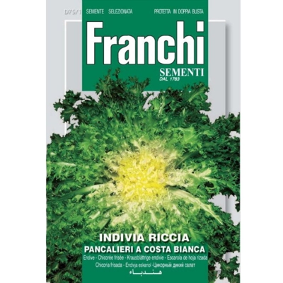 Semi ortofrutta 'Indivia riccia pancalieri a costa bianca' 3 pz.