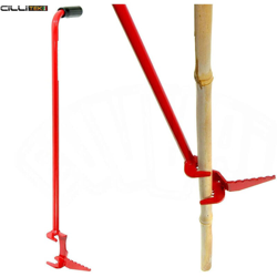 Piantacanne - Pianta Canne Bambu precio