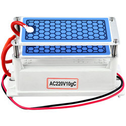 Ozonizzatore portatile extra per purificatore d'aria con generatore di ozono 220V 10G características